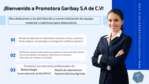 Mechero para gas tipo tirril – Promotora Garibay SA de CV